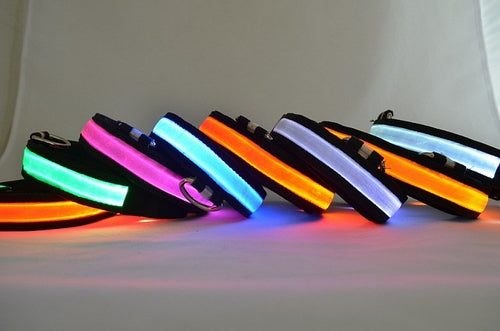 Rechargeable LED Light Up Dog Collar – Bright Safety Glow for Night Walks