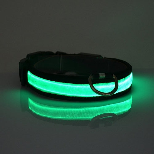 Rechargeable LED Light Up Dog Collar – Bright Safety Glow for Night Walks