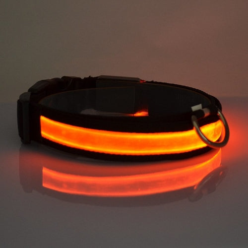 Rechargeable LED Light Up Dog Collar – Bright Safety Glow for Night Walks